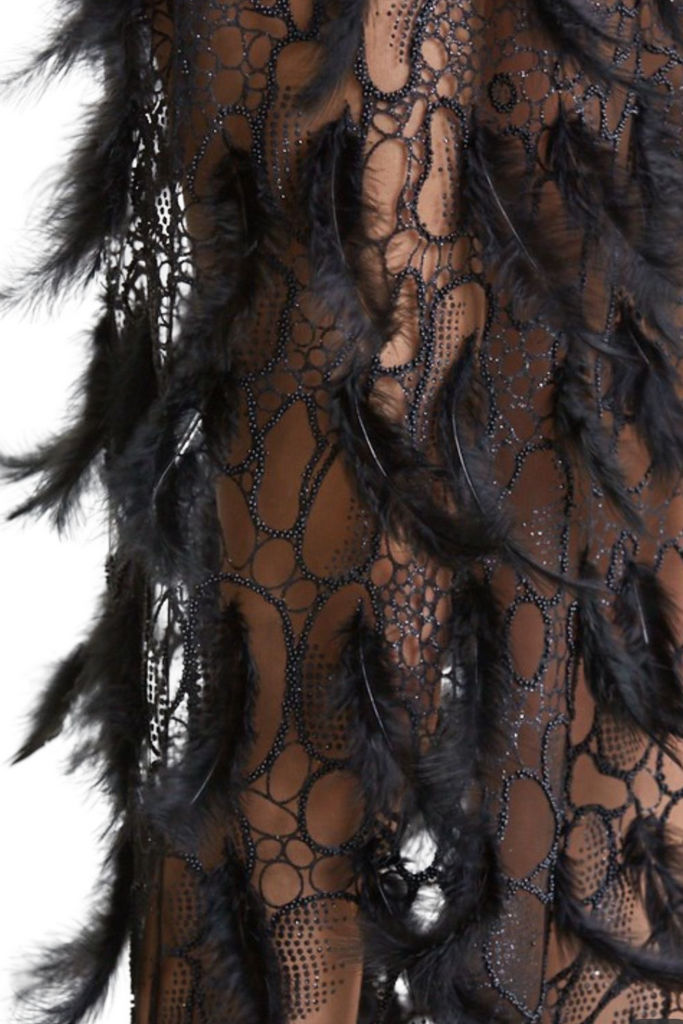 Darla Feather Trim Mesh Dress-DRESSES-Intrigue
