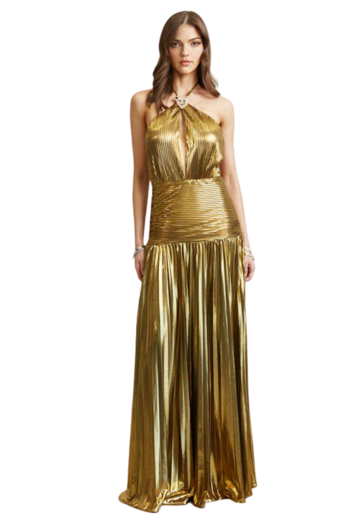 Cat Brooch Metallic Pleated Maxi Dress-DRESS-Intrigue