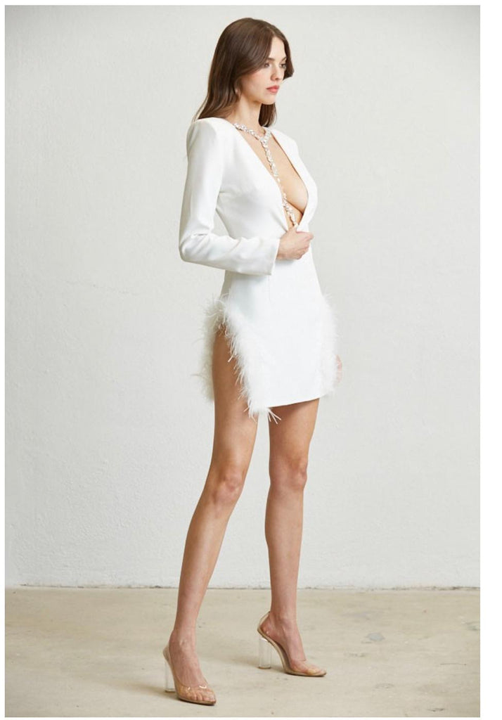 Breane Mini Dress-DRESSES-Intrigue