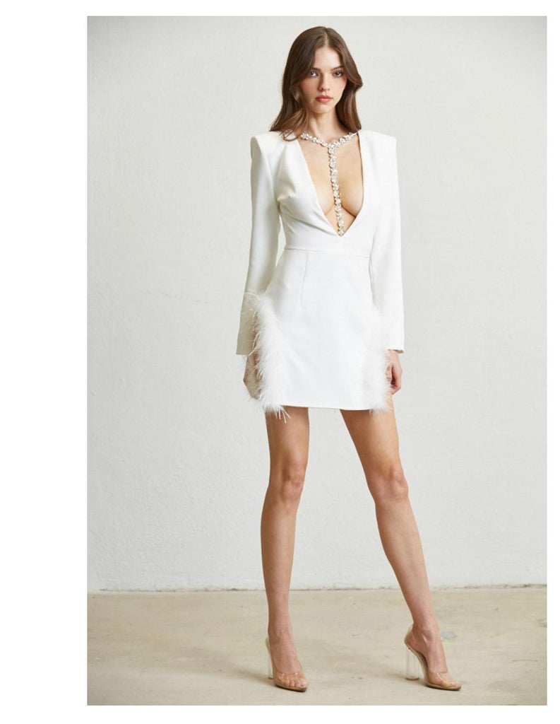 Breane Mini Dress-DRESSES-Intrigue